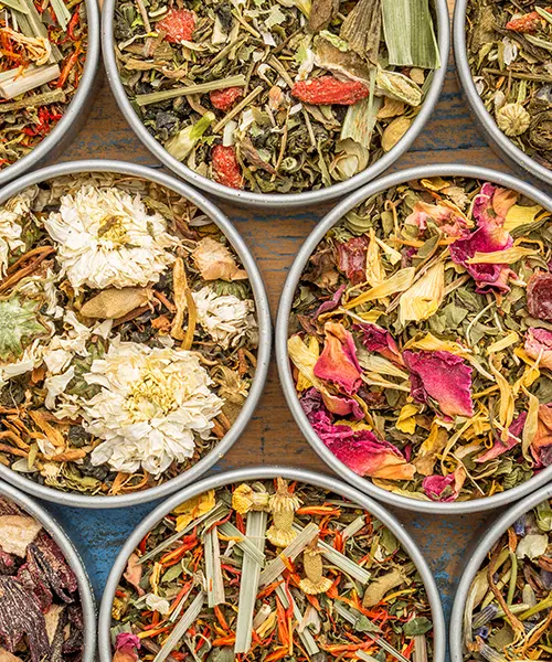 Decouvrir l-univers des thes et infusions bio