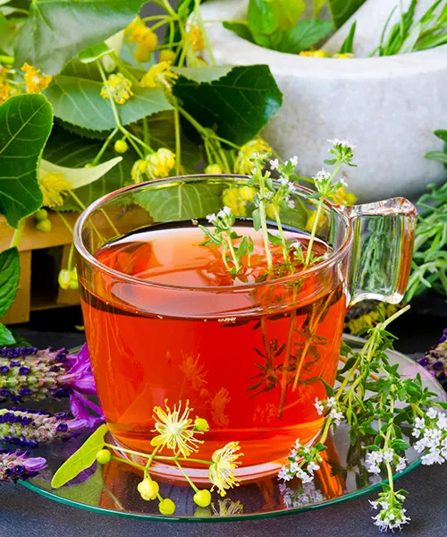 Decouvrir l-univers des thes et infusions bio